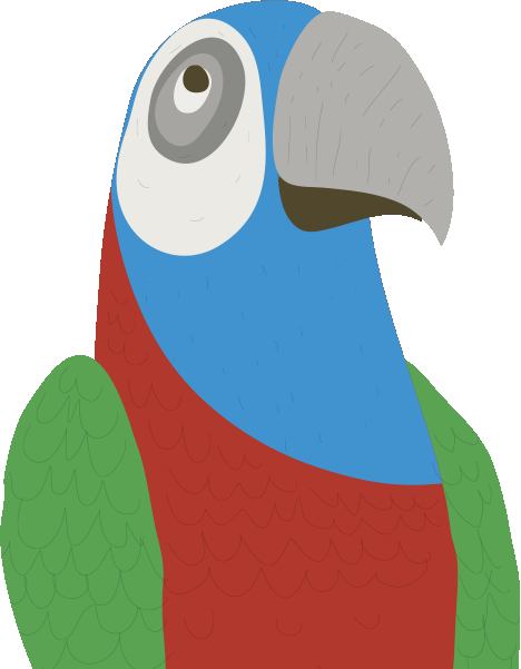 A Macaw image in news section