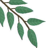 Plant 4 image
